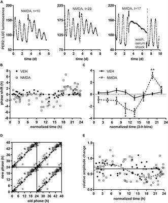 Modulation of NMDA-Mediated Clock Resetting in the Suprachiasmatic Nuclei of mPer2Luc Mouse by Endocannabinoids